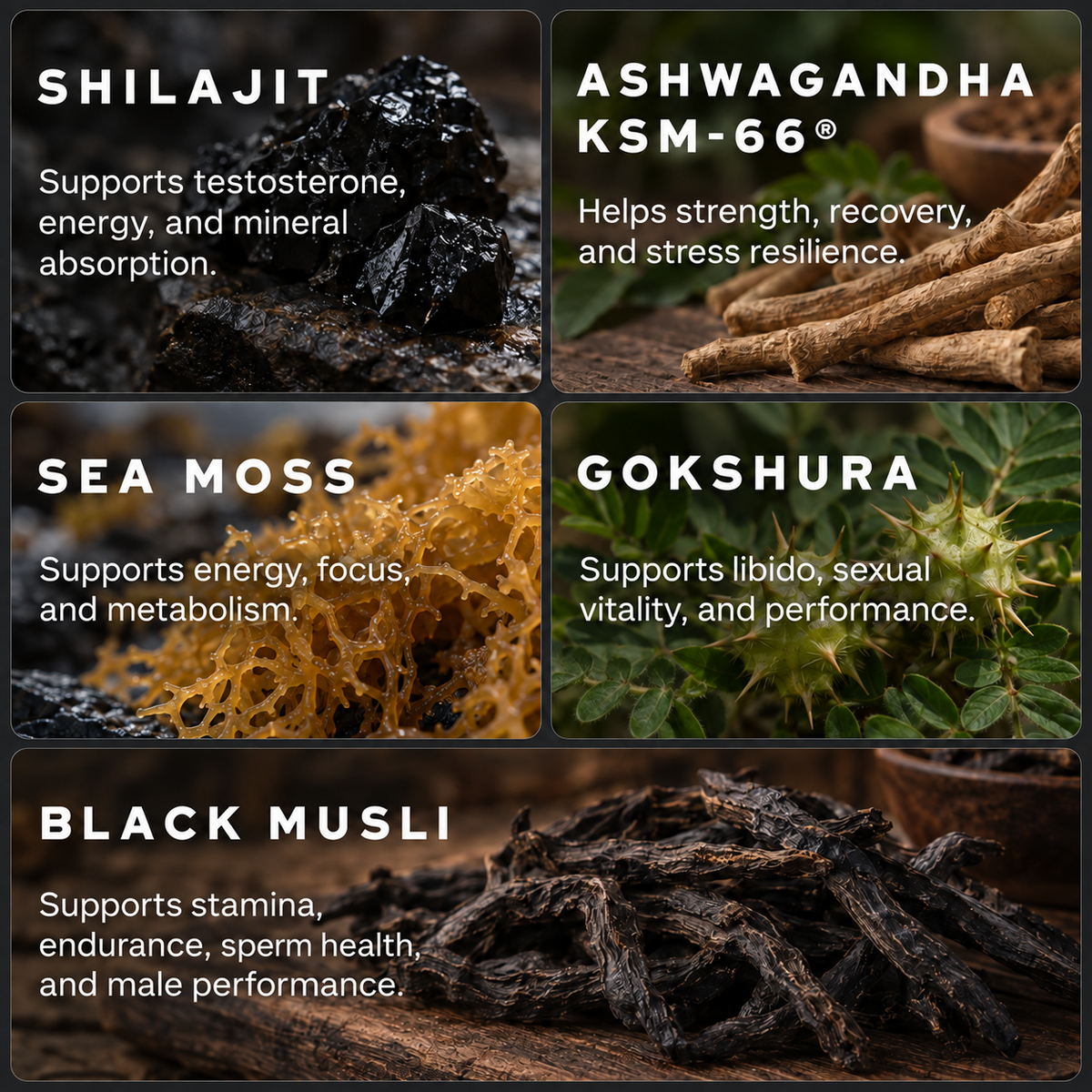 Testorush Daily Gummies™